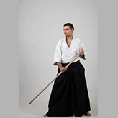 Nogi